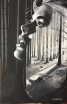 Belle au bois rêvant N°32